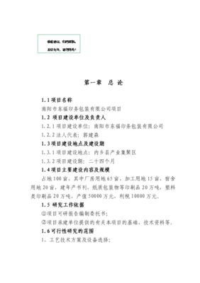 南阳市东福印务包装有限公司项目可行性商业策划书