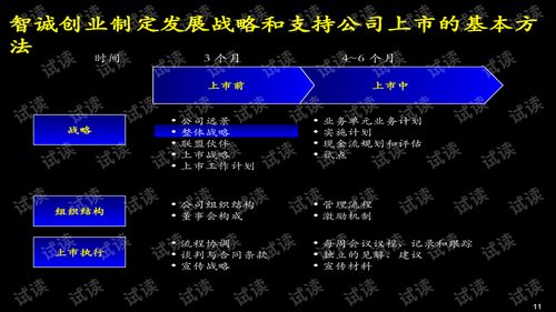 某公司上市方案书商业计划书精品模板.ppt