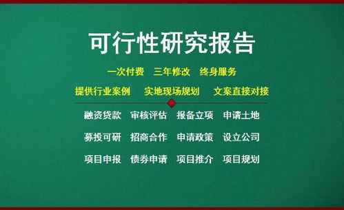 临安项目可研报告精做三年免费修改