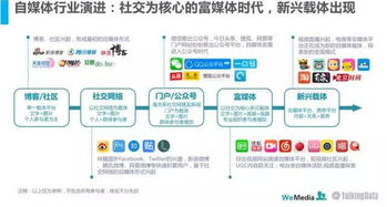 2016年自媒体行业洞察报告